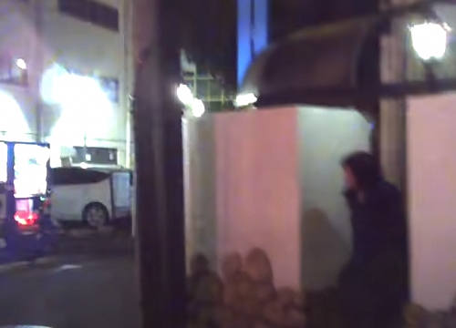 ���c�̗������