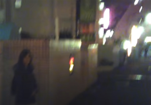 ���c�̗������